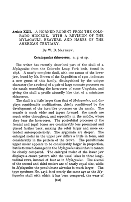 A Horned Rodent from the Colo- Rado Miocene. with a Revision of the Mylagauli, Beavers, and Hares of the American Tertiary