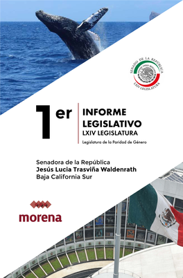 1 Informe Legislativo