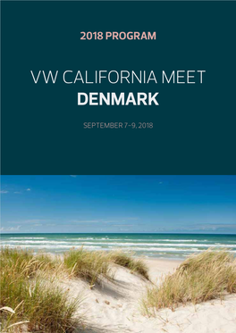 Vw California Meet Denmark