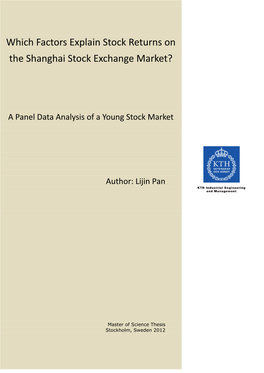 Which Factors Explain Stock Returns on the Shanghai Stock Exchange Market?