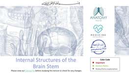 Internal Structures of the Brain Stem