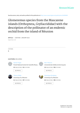 Glomeremus Species from the Mascarene Islands (Orthoptera, Gryllacrididae) with the Description of the Pollinator of an Endemic Orchid from the Island of Réunion