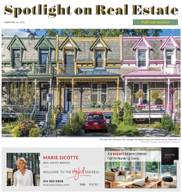 Spotlight on Real Estate