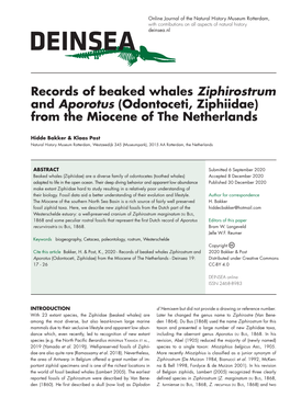 Records of Beaked Whales Ziphirostrum and Aporotus (Odontoceti, Ziphiidae) from the Miocene of the Netherlands