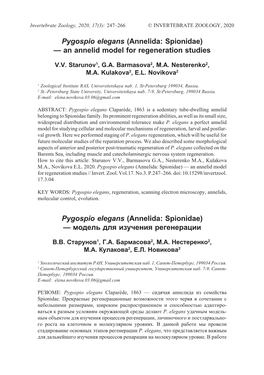 An Annelid Model for Regeneration Studies Pygospio Elegans