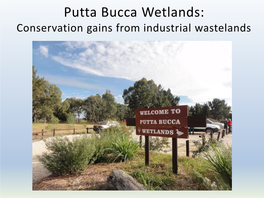 Threatened Birds of Putta Bucca Wetlands