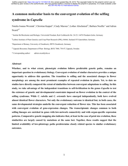 A Common Molecular Basis to the Convergent Evolution of the Selfing Syndrome in Capsella