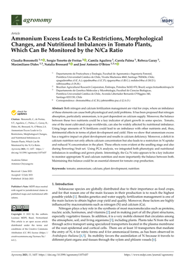 Ammonium Excess Leads to Ca Restrictions, Morphological Changes, and Nutritional Imbalances in Tomato Plants, Which Can Be Monitored by the N/Ca Ratio