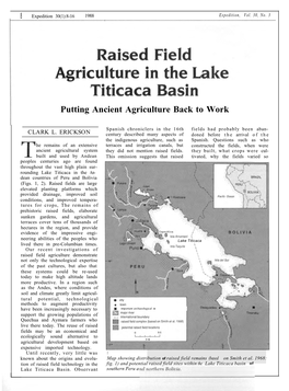 Raised Field Agriculture in the Lake Titicaca Basin