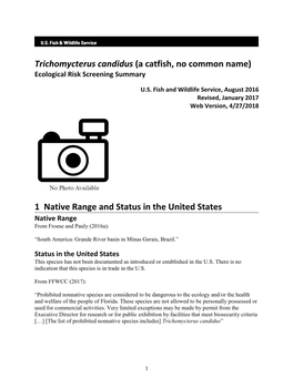 Trichomycterus Candidus (A Catfish, No Common Name) Ecological Risk Screening Summary