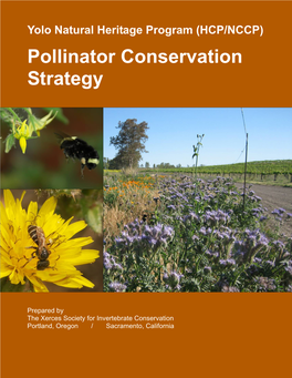 Pollinator Conservation Strategy