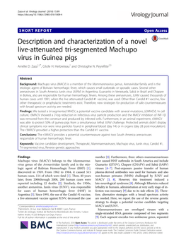 Description and Characterization of a Novel Live-Attenuated Tri-Segmented Machupo Virus in Guinea Pigs Amélie D