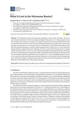 What Is Lost in the Weismann Barrier?