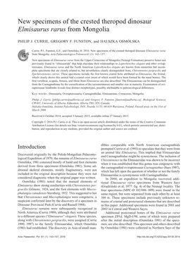 New Specimens of the Crested Theropod Dinosaur Elmisaurus Rarus from Mongolia