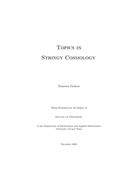 Topics in Stringy Cosmology