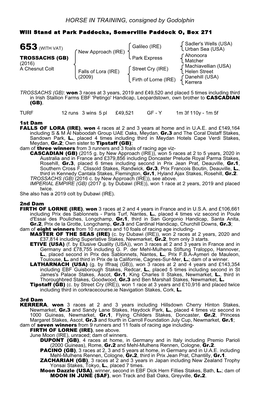 HORSE in TRAINING, Consigned by Godolphin