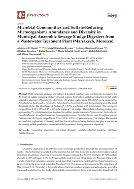 Microbial Communities and Sulfate-Reducing Microorganisms