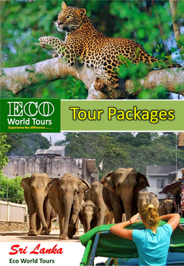 Tour Packages