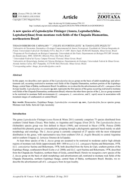 Anura, Leptodactylidae, Leptodactylinae) from Montane Rock Fields of the Chapada Diamantina, Northeastern Brazil