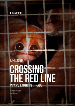 Crossing the Red Line: Japan's Exotic Pet Trade