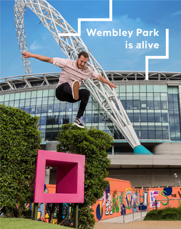 Wembley Park Is Alive the Stranglers