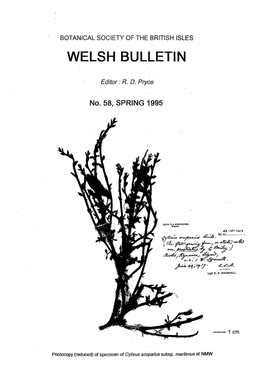 Welsh Bulletin