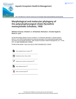 Morphological and Molecular Phylogeny of the Polycytopharyngeal Ciliate Pycnothrix Monocystoides Schubotz, 1908