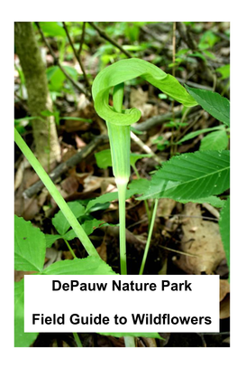 Depauw Nature Park Field Guide to Wildflowers
