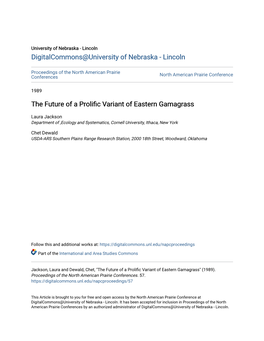 The Future of a Prolific Variant of Eastern Gamagrass