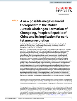 A New Possible Megalosauroid Theropod from the Middle Jurassic