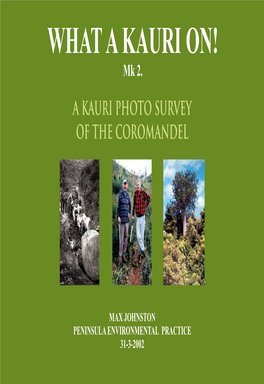 A Kauri Photo Survey of the Coromandel