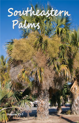 Southeastern Palmspalms
