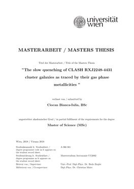 Masterarbeit / Masters Thesis