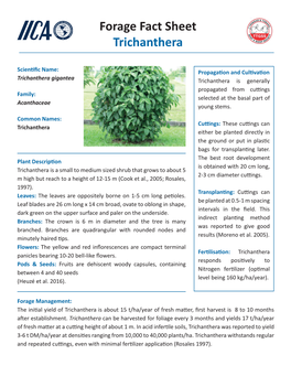 Forage Fact Sheet Trichanthera