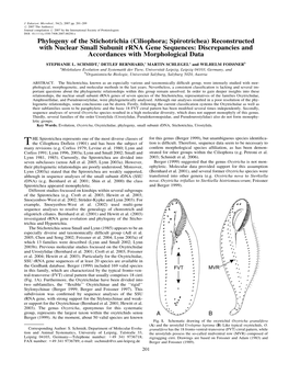 Ciliophora; Spirotrichea) Reconstructed with Nuclear Small Subunit Rrna Gene Sequences: Discrepancies and Accordances with Morphological Data