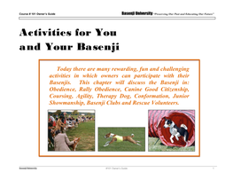 Activities for You and Your Basenji