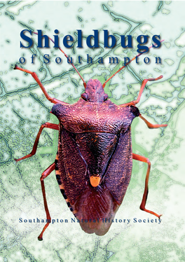 Survey – Shieldbugs