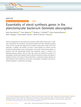 Essentiality of Sterol Synthesis Genes in the Planctomycete Bacterium Gemmata Obscuriglobus