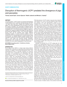 UCP1&lt;/Italic&gt; Predated the Divergence of Pigs and Peccaries