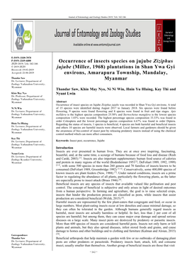 Occurrence of Insects Species on Jujube Ziziphus Jujube