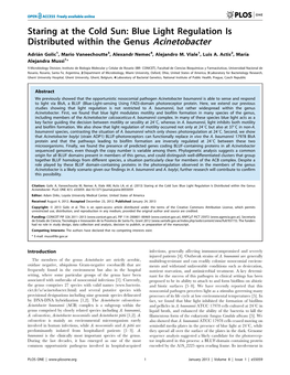 Blue Light Regulation Is Distributed Within the Genus Acinetobacter