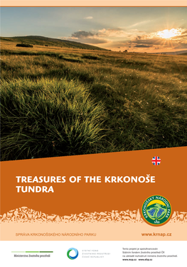 Treasures of the Krkonoše Tundra