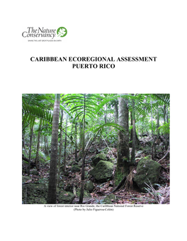 Keel, S. 2005. Caribbean Ecoregional Assessment Puerto Rico. The