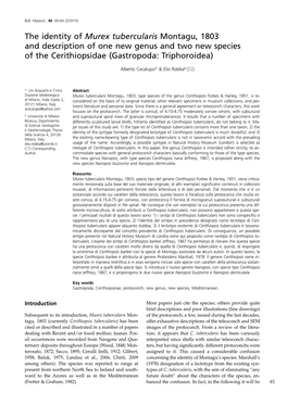 The Identity of Murex Tubercularis Montagu, 1803 and Description of One New Genus and Two New Species of the Cerithiopsidae (Gastropoda: Triphoroidea)