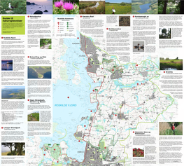 Gundsømagle Sø Rikserne, Der Skriger Som Grise, Og Rørdrummen, Der Tuder – Plads Til Friluftsliv - Det Ukendte Land Kan F.Eks