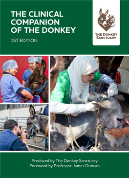 The Clinical Companion of the Donkey 1St Edition