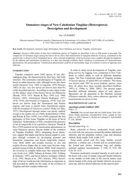 Heteroptera): Description and Development