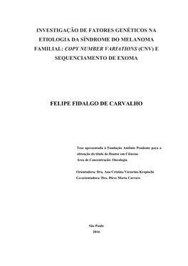 Felipe Fidalgo De Carvalho