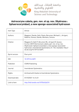 Hydrozoa : Sphaerocorynidae), a New Sponge-Associated Hydrozoan