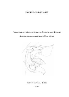 Filogenia E Revisão Taxonômica De Bulbophyllum Thouars